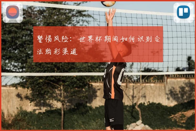 警惕风险：世界杯期间如何识别合法购彩渠道