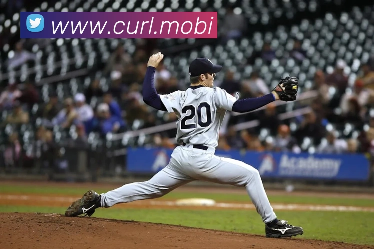 爱体育官网app下载平台生态图